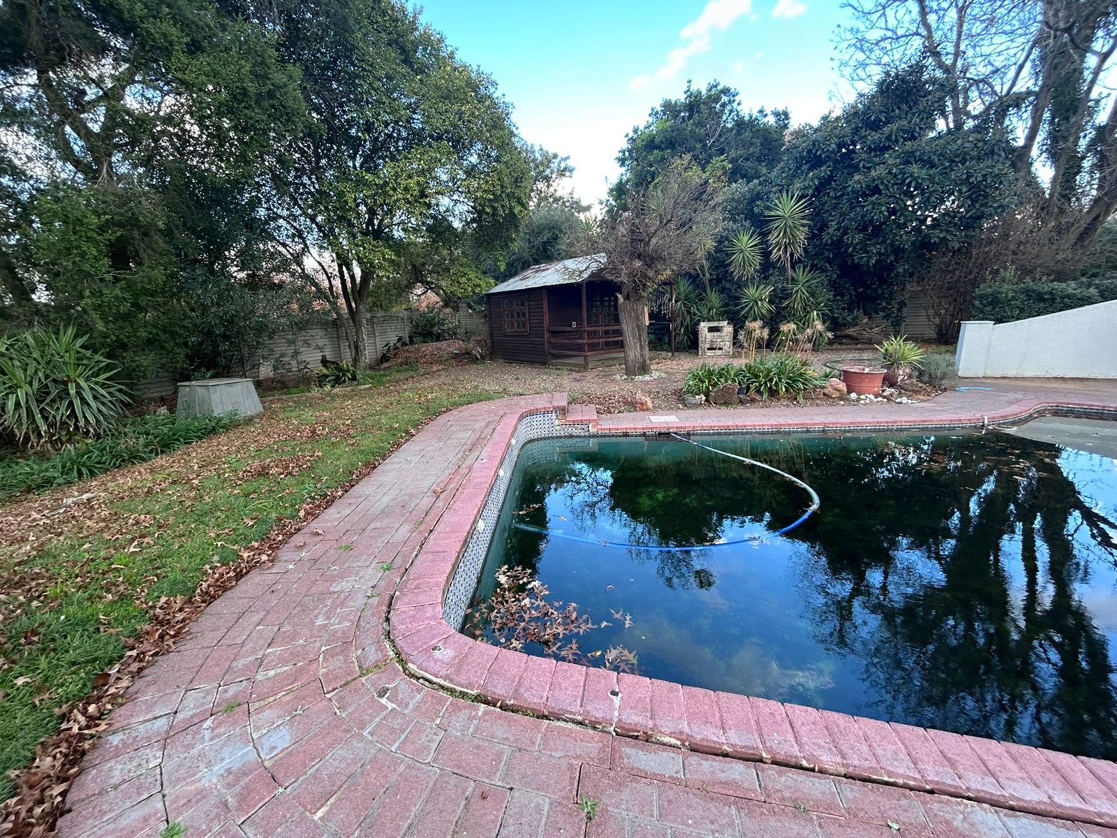 Swimming Pool and Garden